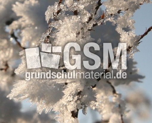 Winterimpressionen 065.jpg